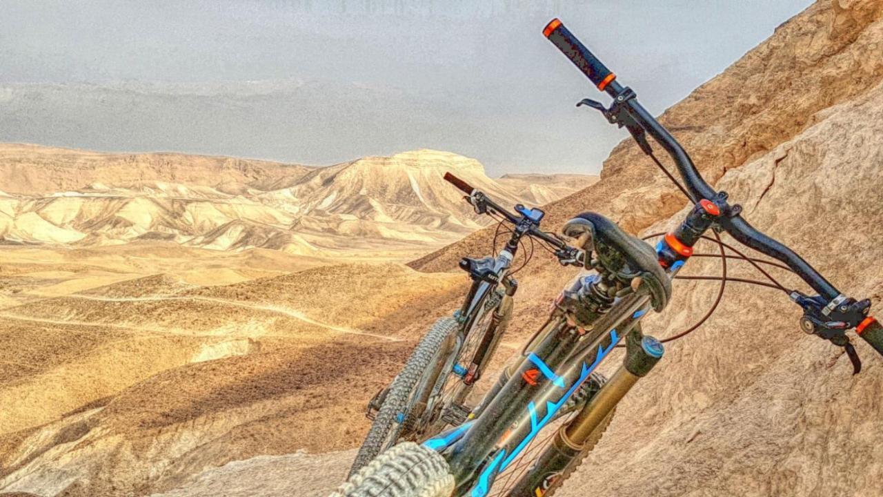 فيلا أرادفي بيت ضيافة دازيرت بيرد المظهر الخارجي الصورة